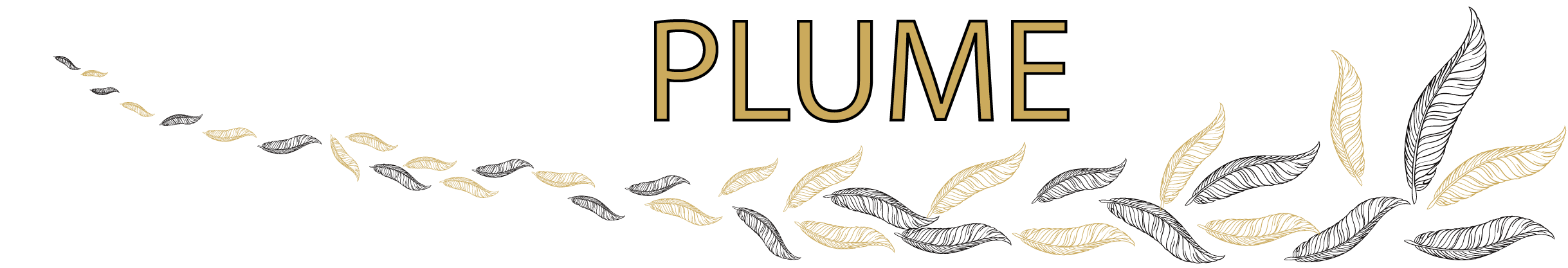 Banière plume + texte-01-01
