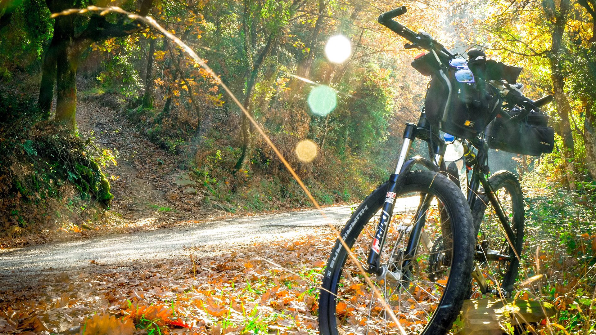 Petite balade en VTT